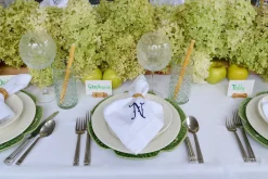 Ceramic Bamboo Straws (4)|Chefanie Best