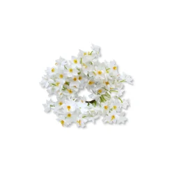 Daffodil Napkin Rings (4)|Chefanie Hot