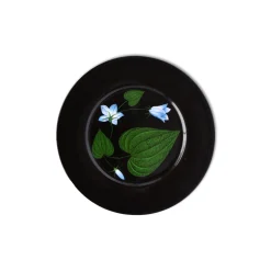 Heart Leaf Salad Plate|Chefanie New