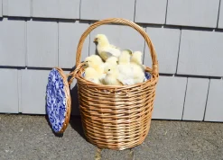 Honey Wicker Basket|Chefanie Outlet