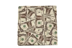 Money Napkins (4)|Chefanie Hot
