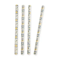 Signature Ceramic Straws (4)|Chefanie Discount