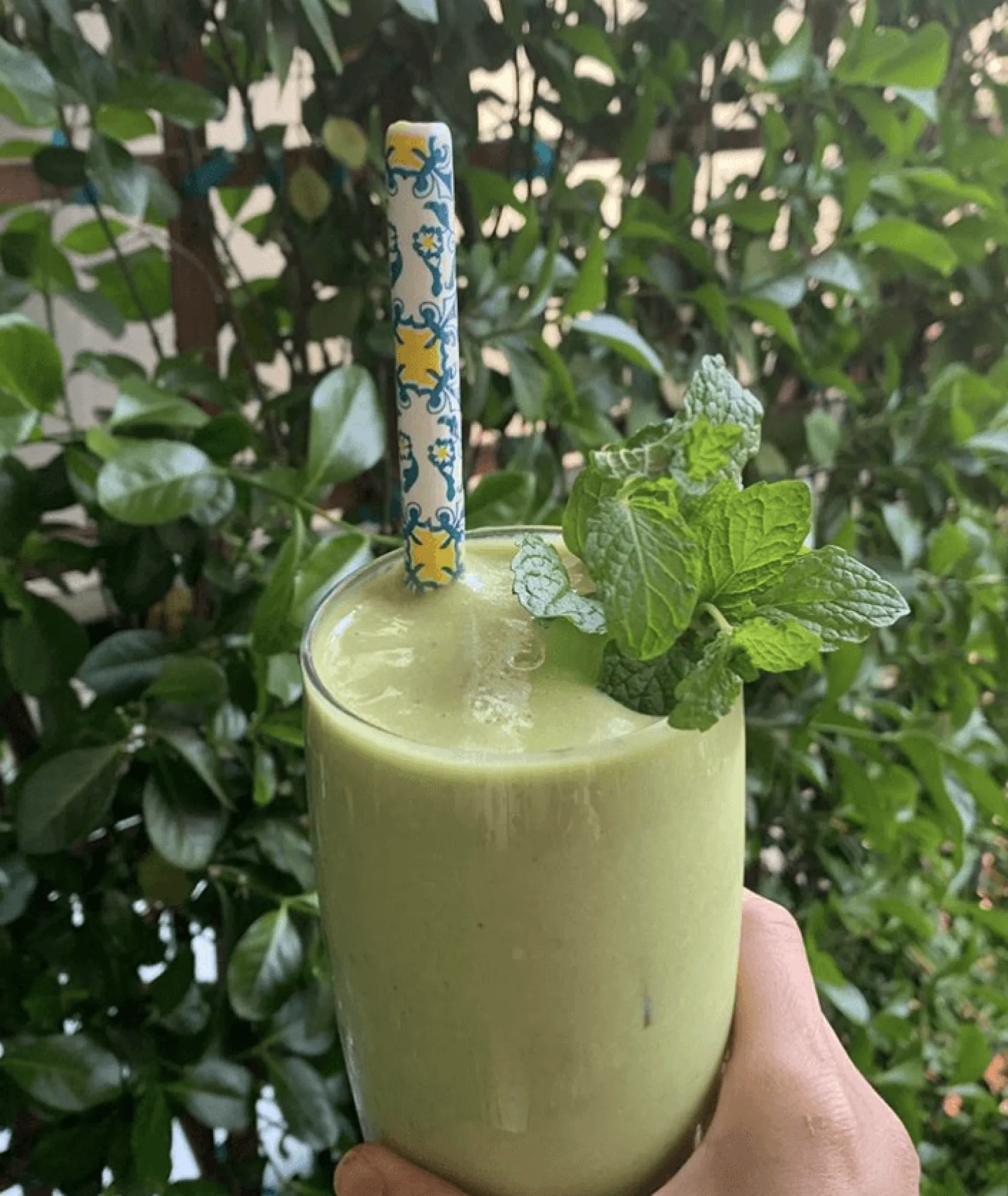 Signature Ceramic Straws (4)|Chefanie Discount