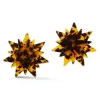 Tortoise Star Earrings|Chefanie Online